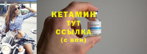 стаф Туринск