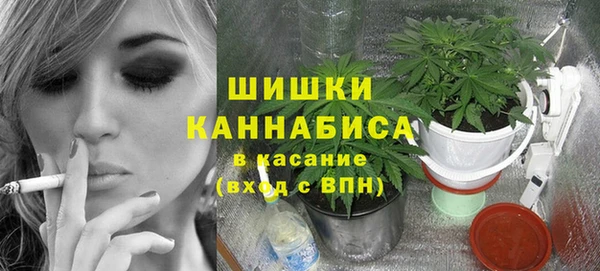 ешки Тында