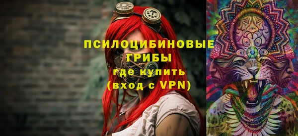 мдпв Володарск